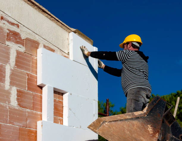 Best Insulation Maintenance and Repair in Silver Grove, KY