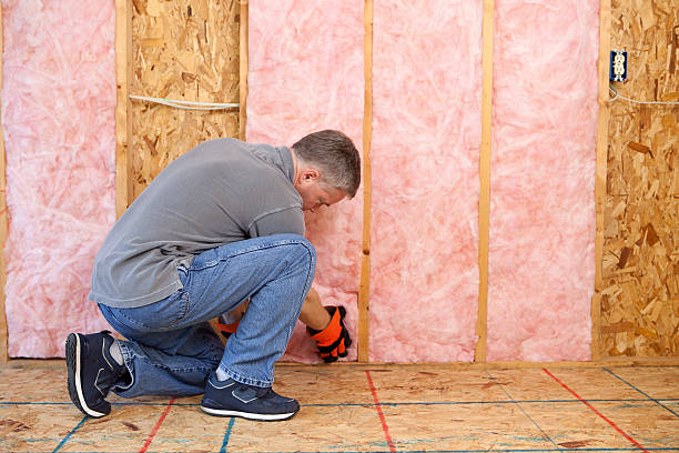 Best Insulation Maintenance and Repair in Silver Grove, KY
